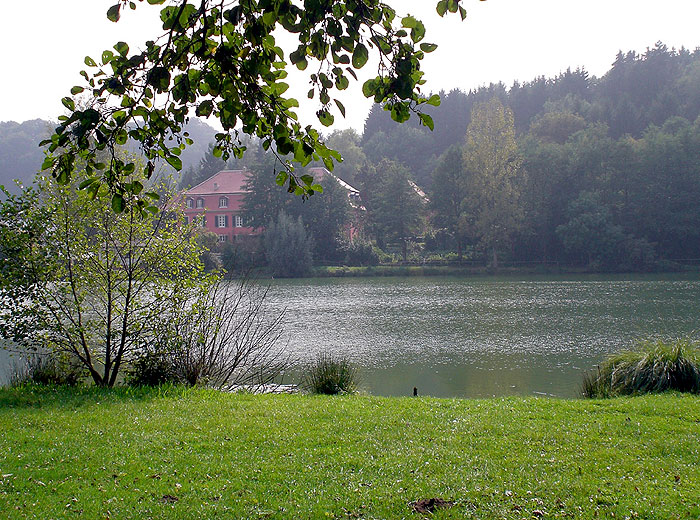 Parklandschaft der Marianne von der Leyen am Würzbacher Weiher in Niederwürzbach